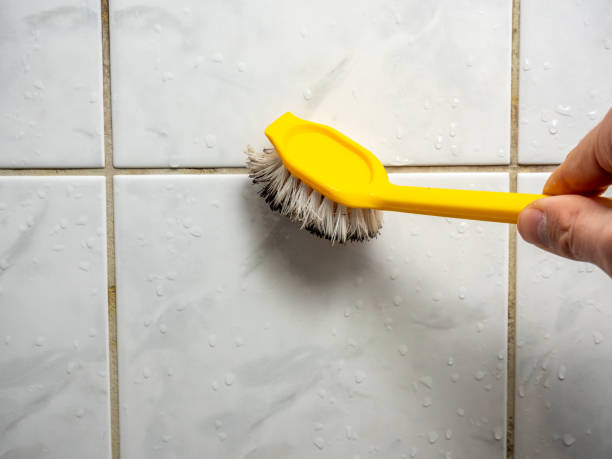 Best Attic Mold Removal  in Toro Nyon, CA