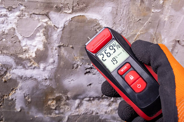 Toro Canyon, CA Mold Removal Company